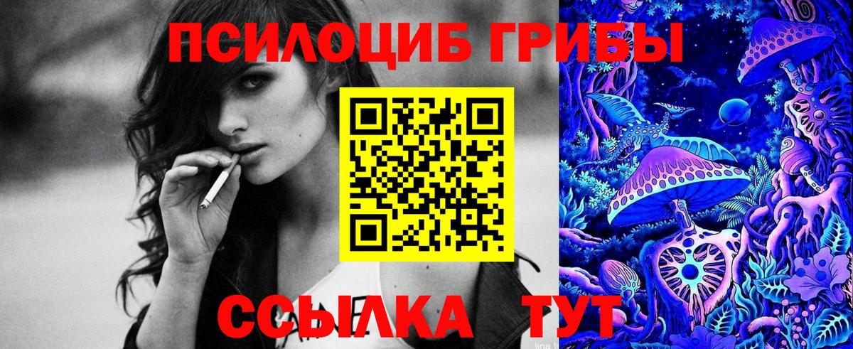 Псилоцибиновые грибы Psilocybe  Вход с VPN  Прохладный 